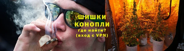 гидра Аркадак