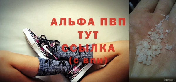 гидра Аркадак