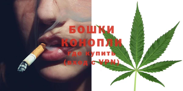 трава Арсеньев