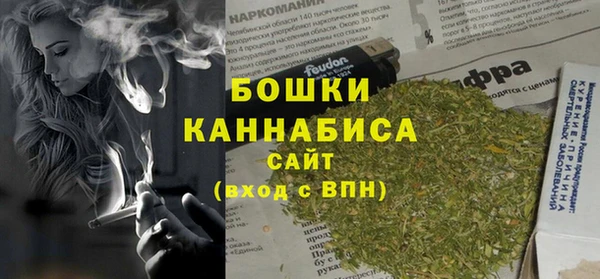 гидра Аркадак