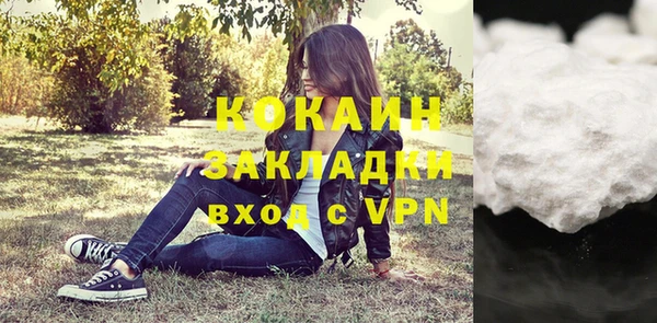 трава Арсеньев